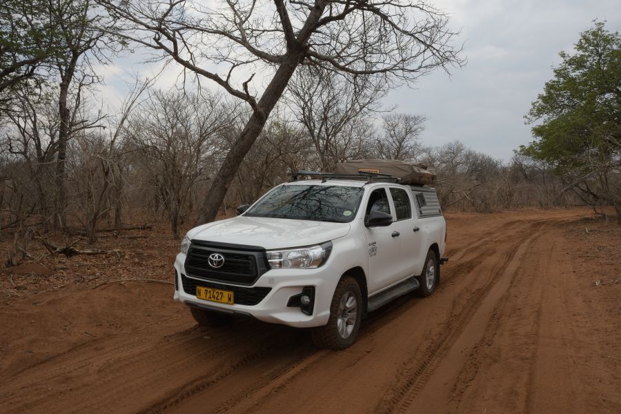 Fahrt entlang der Chobe Riverfront nach Kasane