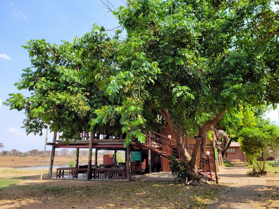 Senyati Safari Camp: das Hauptgebäude, von dort hat man einen schönen Blick aufs Wasserloch