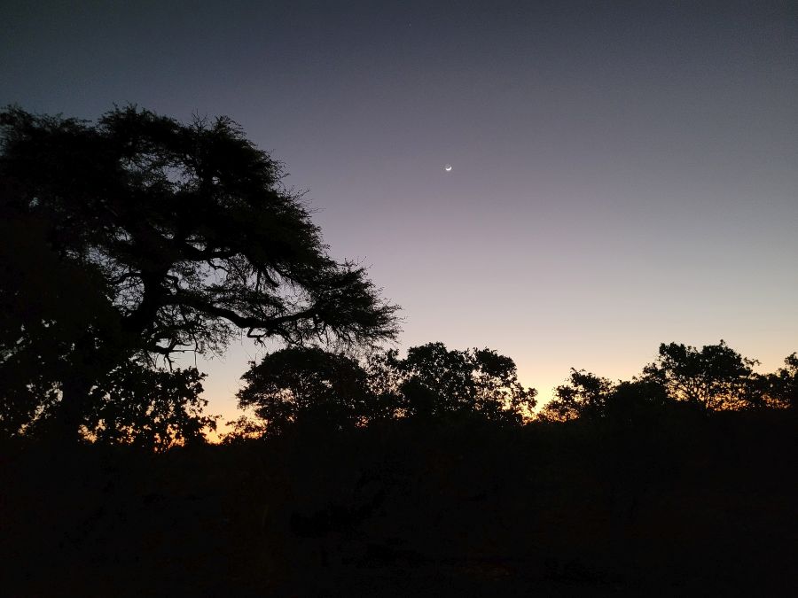 Abendstimmung auf der Savuti Campsite