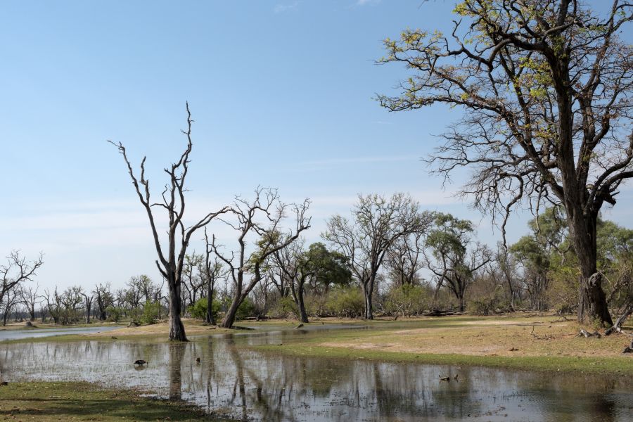 Landschaft bei den Paradise Pools
