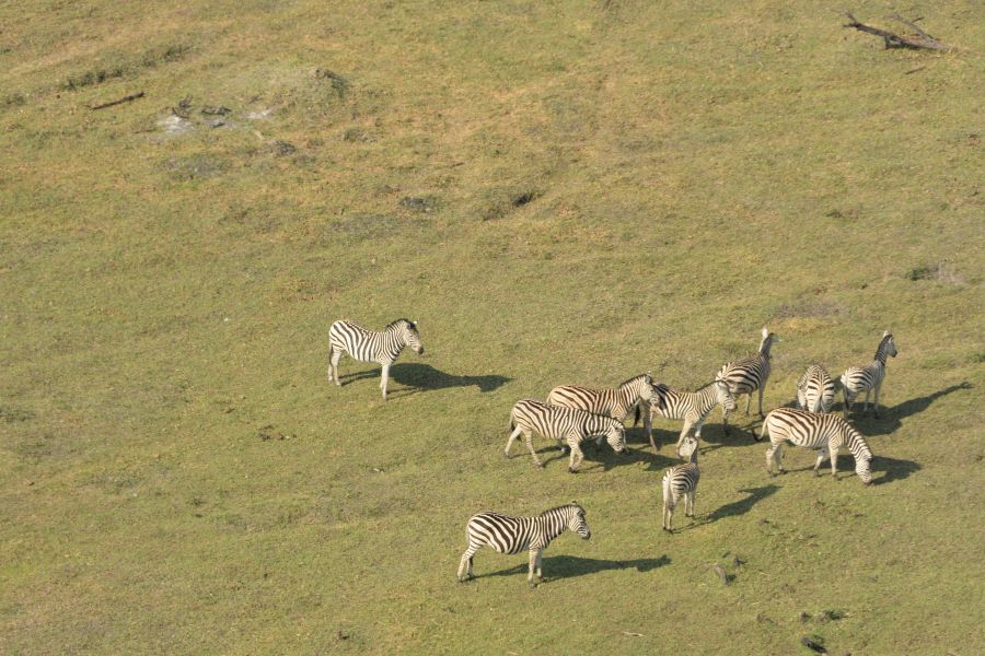 Blick aus dem Helikopter