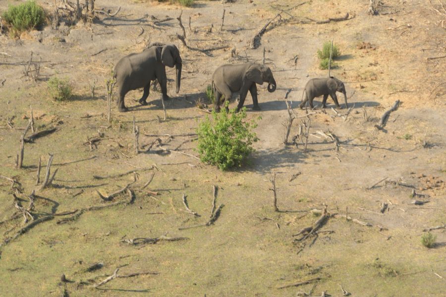 Blick aus dem Helikopter