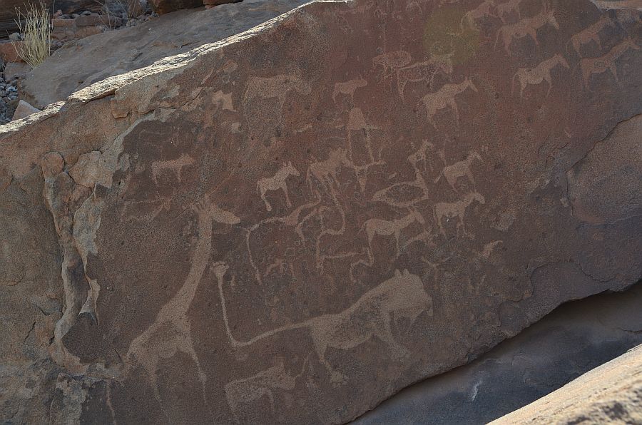 Die Löwenplatte in Twyfelfontein