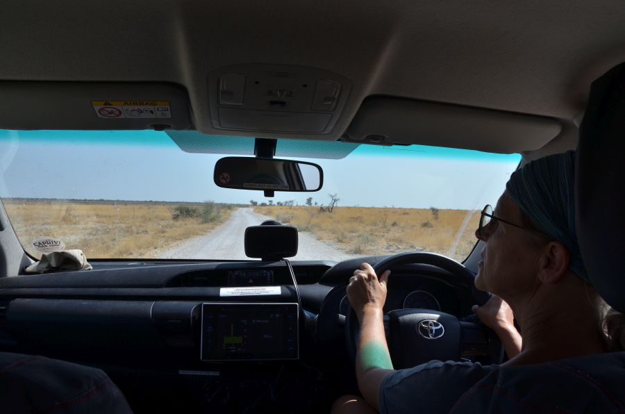 Amélie sitzt vorne und steuert den Hilux, so hat jeder einen perfekten Ausblick