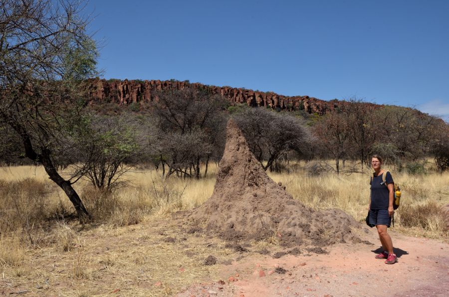 Auf dem Rückweg vom Anderson Trail