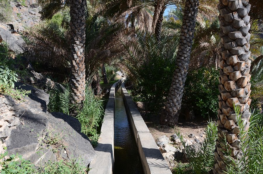 Bewässerungssystem (Falaj) im Palmengarten von Misfat Al Abriyyin