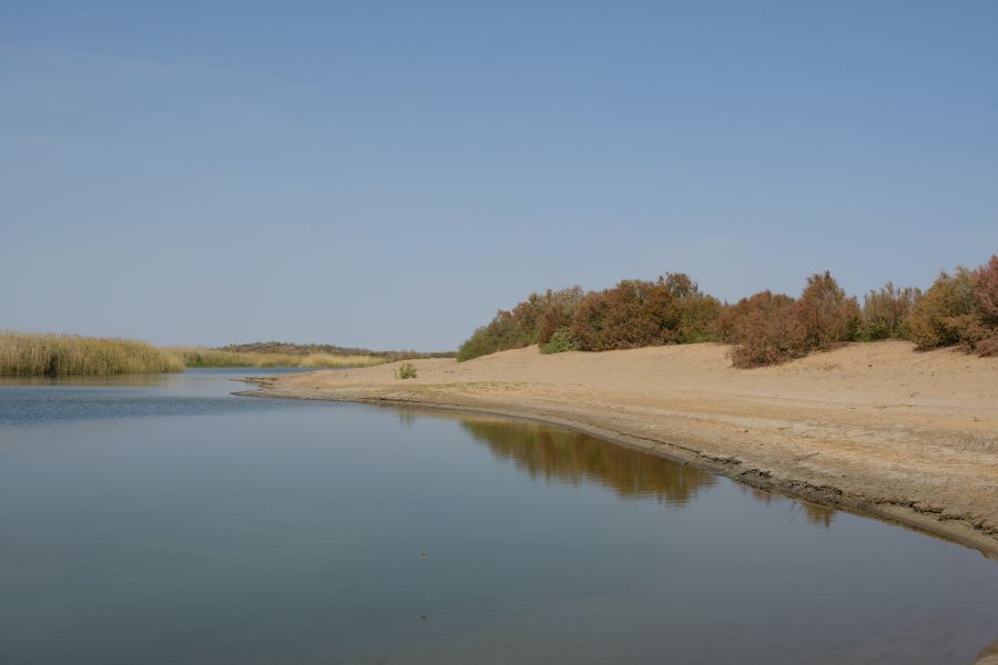 Blick auf den Aydarkul-See